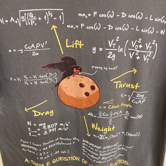 Graphic Tee Shirt with Airspeed Velocity of Unladen Sparrow Size M - Picture 3 of 6